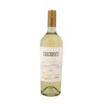 Chacabuco-Vionier-bot-cc-750-2-36364