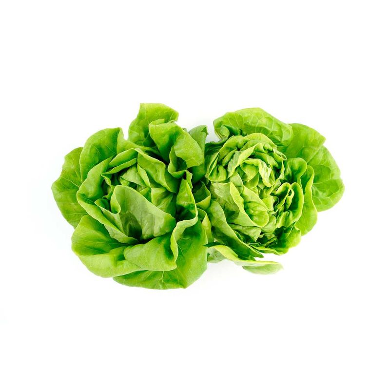 Lechuga-Sereno-Mantecosa-por-Kg-Lechuga-Sereno-Mantecosa-Por-Kg-1-248513