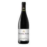 Vino-Santa-Ana-Abocado---750-Cc-1-257765