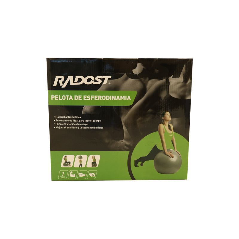 Pelota-De-Esferodinamia-Radost-2-253169