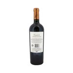 Vino-Putruele-Cabernet-Sauvignon-Reserva-750ml-2-246500