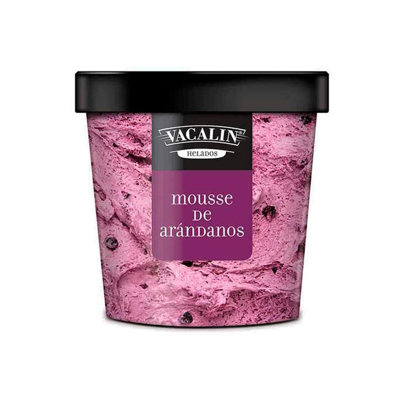 Pote-Helado-Mousse-De-Arandanos-X-420grs-1-250329