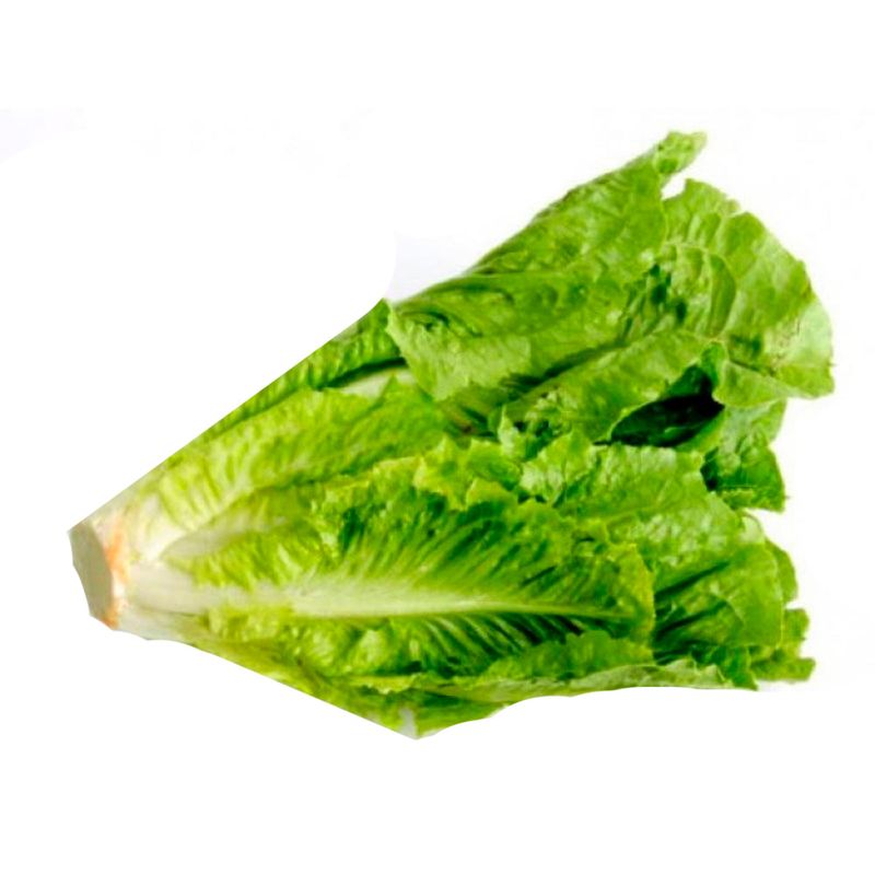 Lechuga-Rulito-por-Kg-1-13808