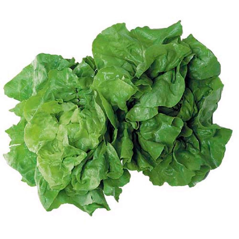 Lechuga-Mantecosa-Por-Kg-1-10912