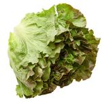 Lechuga-Por-Kg-1-87912