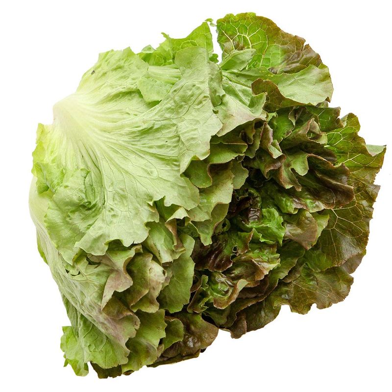 Lechuga-Por-Kg-1-87912