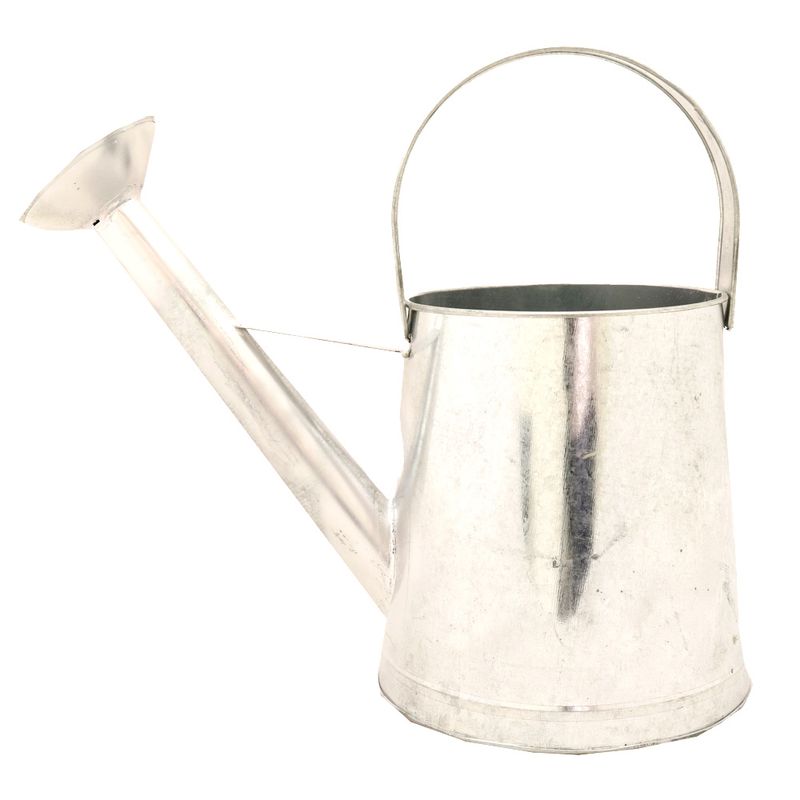 Regadera-De-Chapa-Pintada-Vs-Colores-s-e-un-1-2-222606