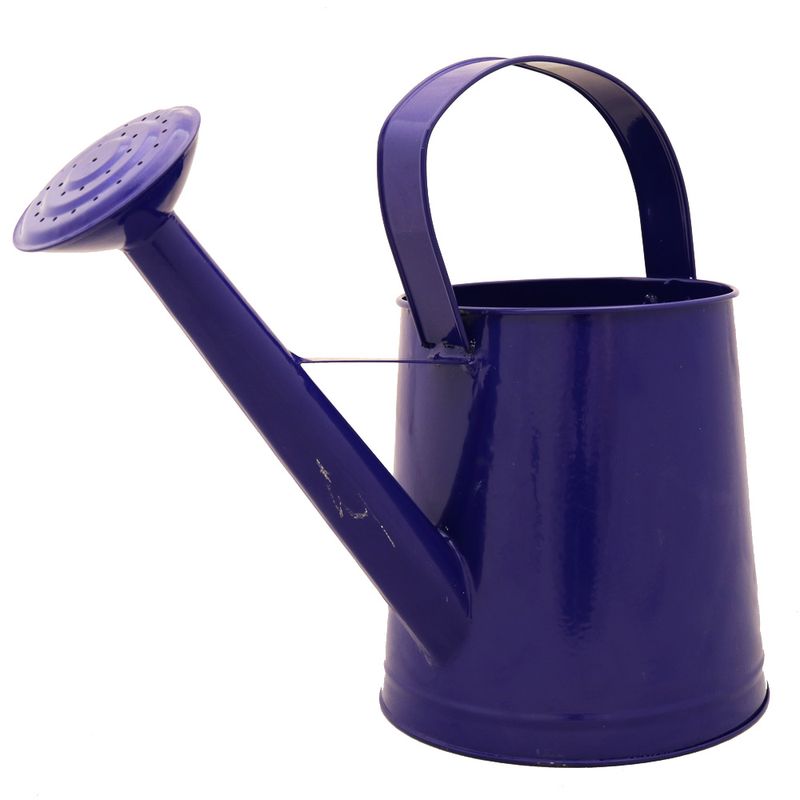 Regadera-De-Chapa-Pintada-Vs-Colores-s-e-un-1-4-222606