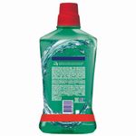 Enjuague-Bucal-Colgate-Plax-Fresh-Mint-1000ml-Promo-Lleve-1000ml-Pague-700ml-2-39059