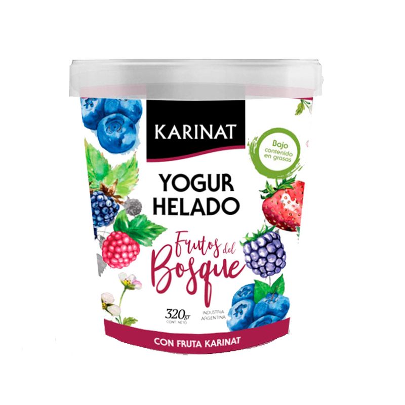 Yogur-Helado-Karinat---F-Del-Bosque-X-320-Gr-1-402763