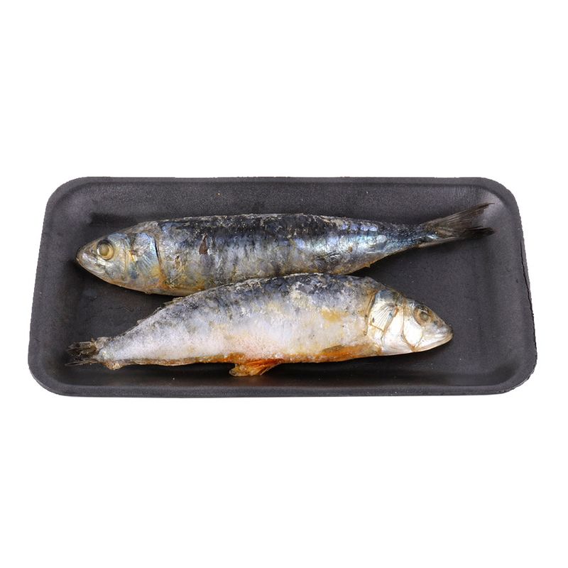 Sardinas-Importadas-Por-Kg-2-249341