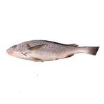 Corvina-Entera-por-Kg-Corvina-Entera-Por-Kg-1-249305