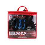 Funda-Para-Auto-Dragon-1-218539