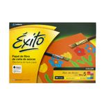 Block-Color-Nº5-exito-1-248722