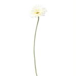 Gerbera-Artificial-Krea-2-573528