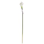 Cala-Decorativa-Krea-585-Cm-1-572735