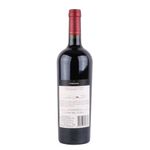 Vino-Tinto-Terrazas-Altos-Del-Plata-Cabernet-Suavignon-750-Cc-2-13984