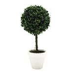 Arbol-En-Maceta-1-572763