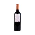 Vino-Tinto-Benegas-Lynch-Malbec-bot-cc-750-2-249160