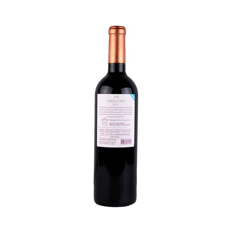 Vino-Tinto-Benegas-Lynch-Malbec-bot-cc-750-2-249160