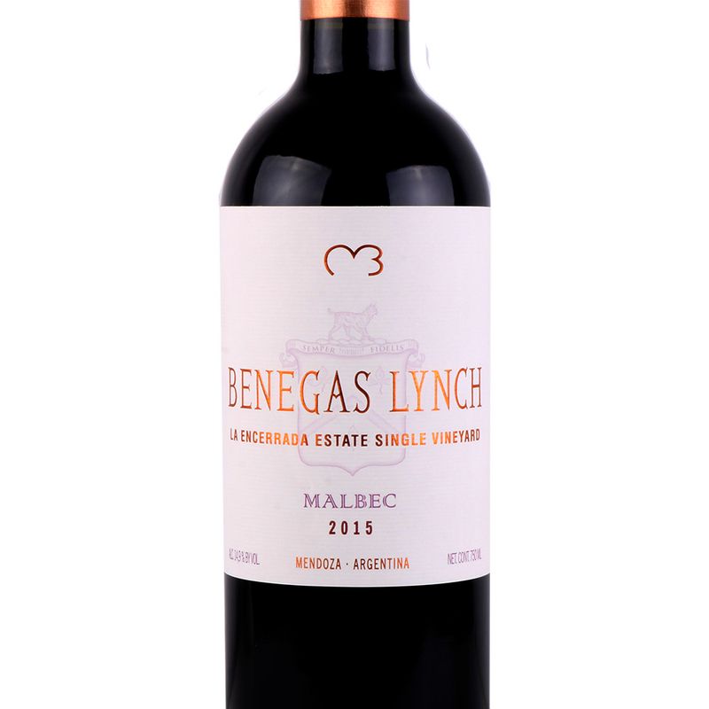Vino-Tinto-Benegas-Lynch-Malbec-bot-cc-750-3-249160