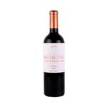Vino-Tinto-Benegas-Lynch-Malbec-bot-cc-750-1-249160