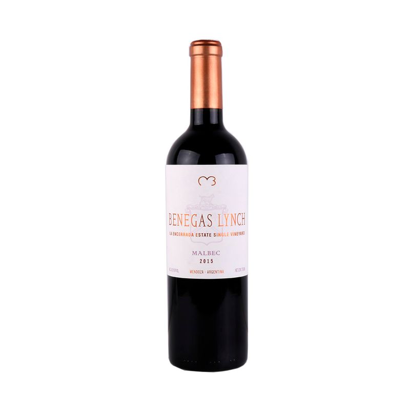 Vino-Tinto-Benegas-Lynch-Malbec-bot-cc-750-1-249160