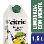 Citric-Limonada-Con-Menta-X-15lt-1-576940