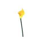 Cala-Tm-69-Cm-Pv18-1-572856