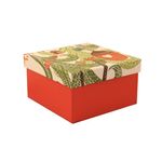 Caja-Carton-Navidad-Cuadrada-L-Pv18-1-573164