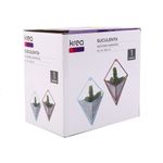 Suculenta-En-Macetero-Hormigon-Pared-3-573708