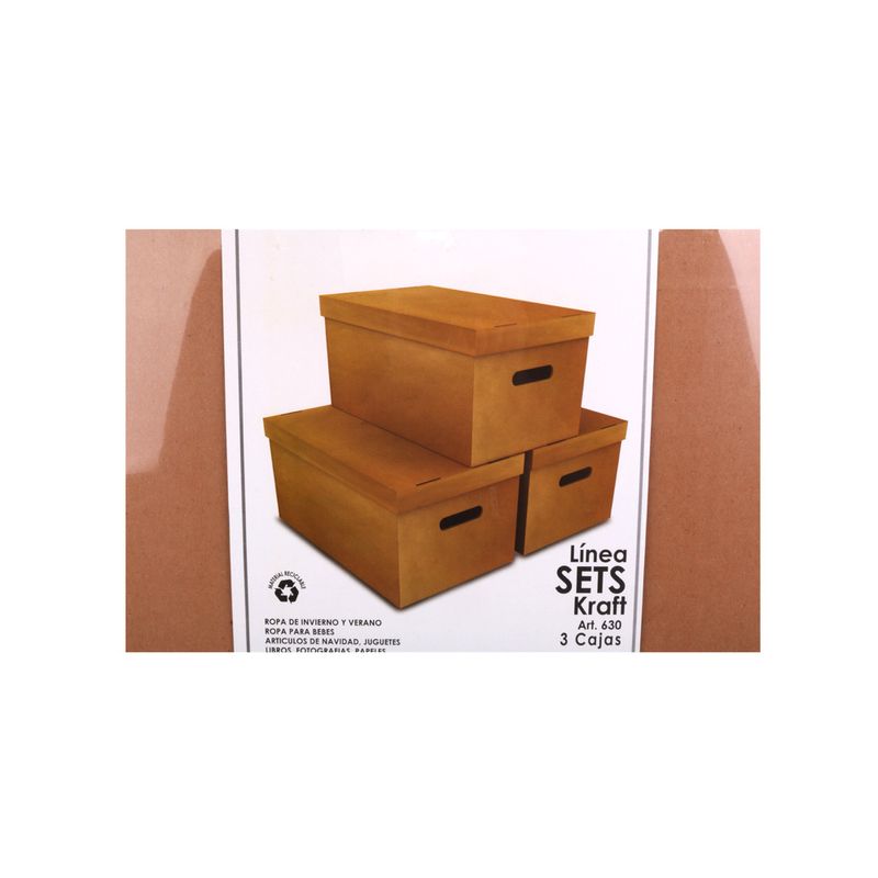 Set-De-3-Cajas-Kraft-Organize-50x45x30-Cm-2-469246