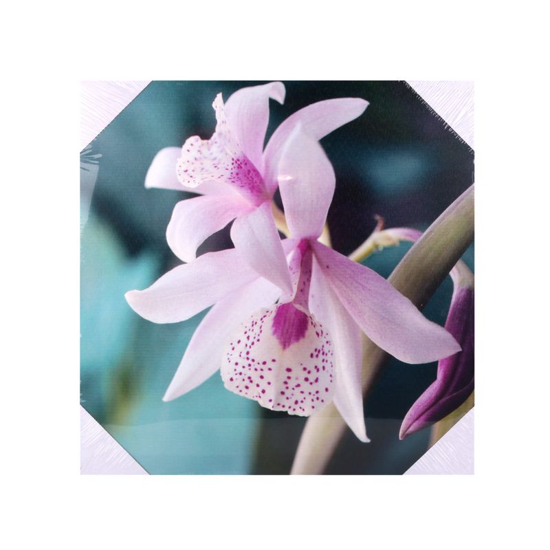Canvas-40x40cm-Flores-4d-1-573285