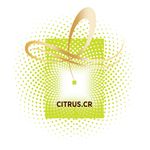 Shampoo-Citrus-Elvive-Loreal-Paris-400-Ml-3-249146