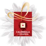 Acondicionador-Reparacion-Total-5-Elvive-Loreal-Paris-750-Ml-3-29595