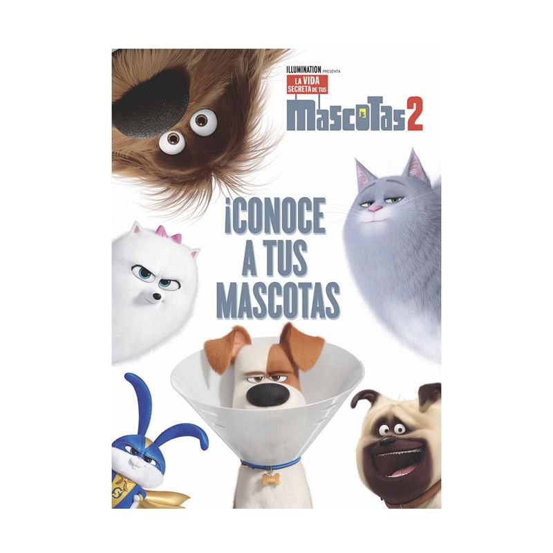 Activity-4-En-1-mascotas-2-vertice-1-693384