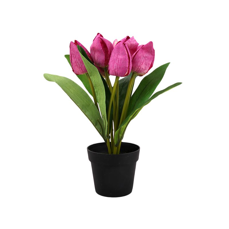 Flor-En-Maceta-Tulipan-1-574031