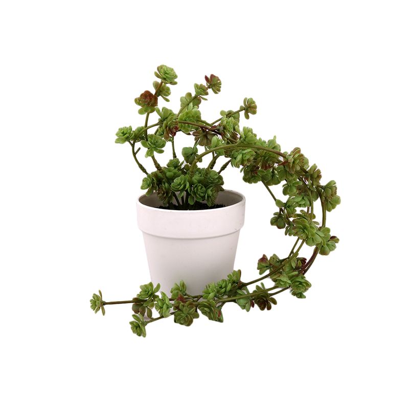 Planta-Colgante-1-574175