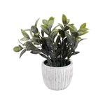Planta-En-Maceta-Cemento-Rayado-1-574179