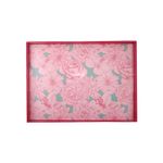 Bandeja-Plastica-Rectangular-Linea-Jardi-2-303576