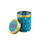 Vela-Tarro-Metal-M-Aqua-1-573020