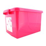 Caja-Organizadora-25lt-Solida-3d-18-6-770043
