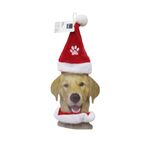 Gorro-P-mascota-1-814099