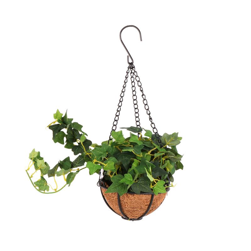Planta-Colgante-1-606861