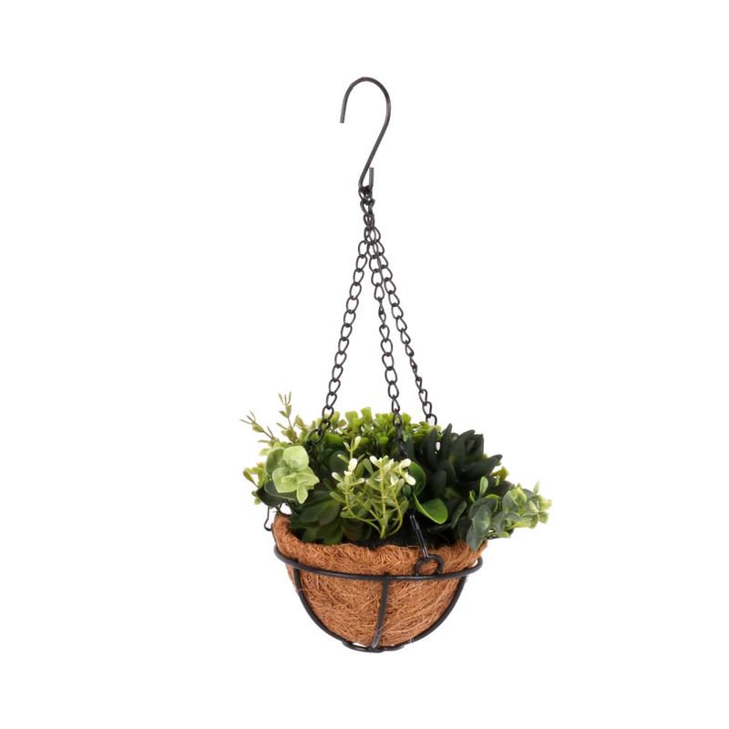 Planta-Colgante-En-Maceta-Herbario-1-606960