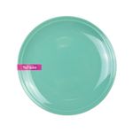 Plato-Playo-273-Cm-Ceramica-Turquesa-1-303423
