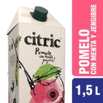 Jugo-Citric-Pomelada-Ment-Y-Jeng-X-15-L-1-828899