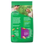 Dog-Chow-Longevidad--adultos-7---15-Kg-2-7761