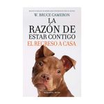 Regreso-A-Casa--Razon-De-Estar-Contigo-1-840027