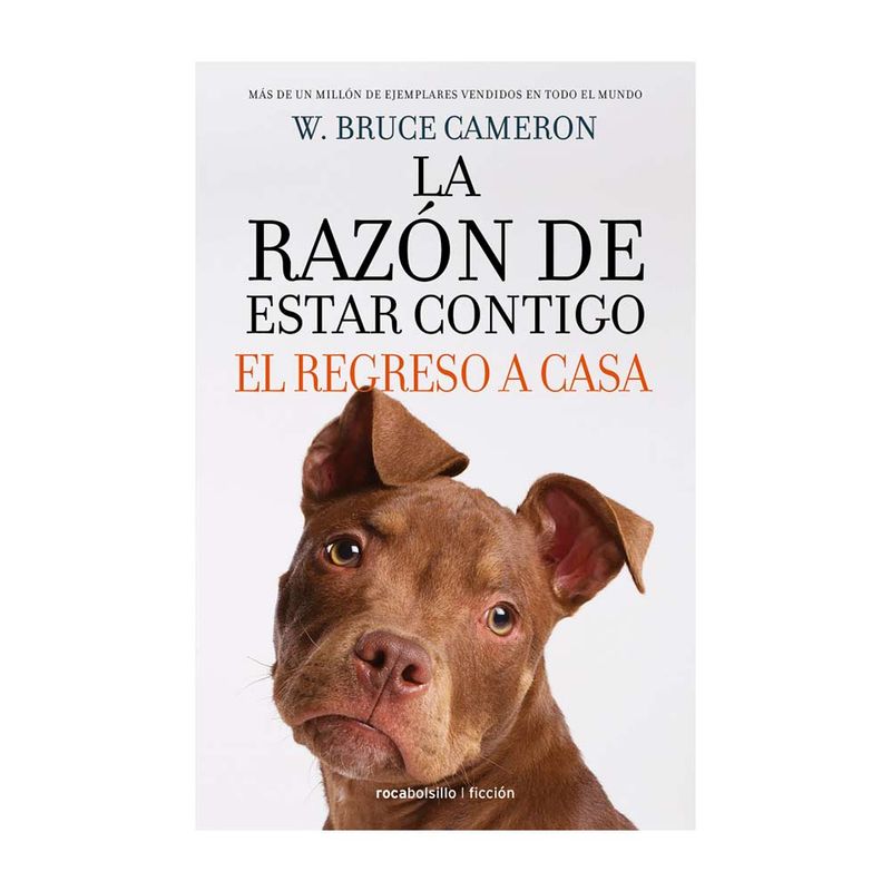 Regreso-A-Casa--Razon-De-Estar-Contigo-1-840027